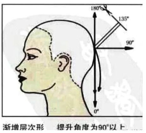 南寧美發(fā)學(xué)校：剪發(fā)過程中四種基礎(chǔ)層次知識點(diǎn)