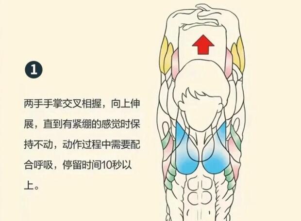 南寧美容師培訓(xùn)要學(xué)什么？背部護(hù)理就是其中一項(xiàng)