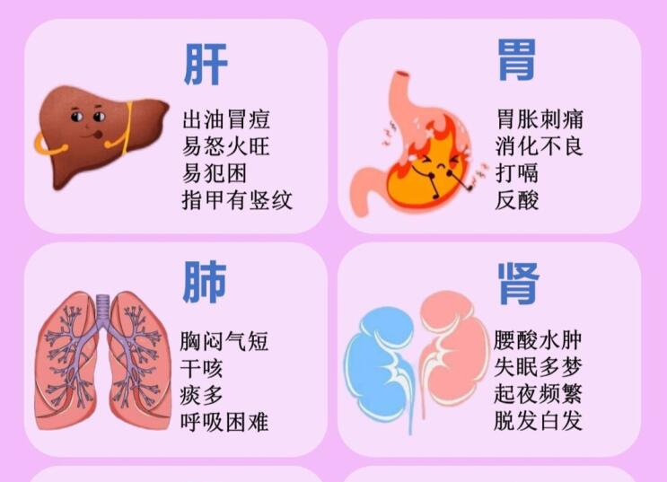 6大臟器保養(yǎng)指南，6款養(yǎng)生茶喝起來 ???
