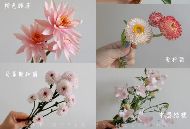 認識常見花朵的名稱，廣西插花學?；ㄋ嚺嘤柣A(chǔ)
