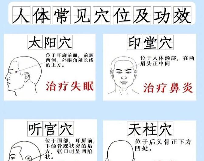 人體常見穴 位及功效，廣西專業(yè)正規(guī)美容學(xué)校講解
