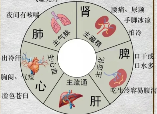 人體不同部位受寒的表現(xiàn)，廣西中醫(yī)美容培訓(xùn)分享