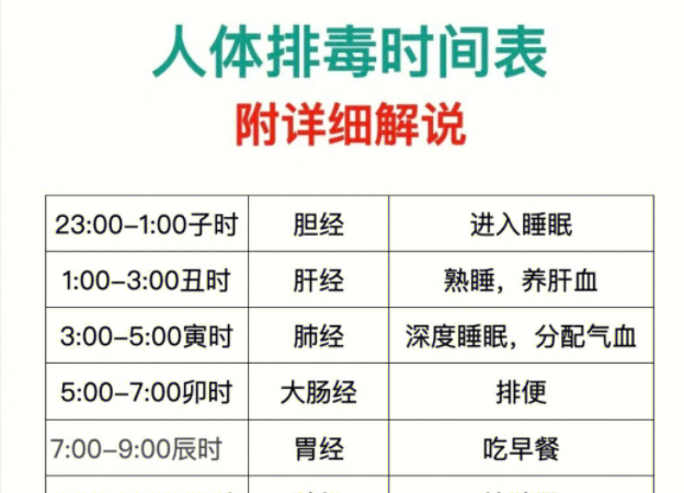 人體排毒時間表，南寧美容專業(yè)學校詳細解說