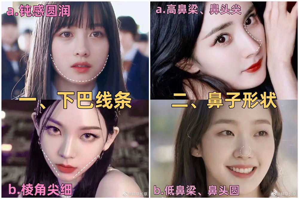 彩妝妝容分析分享：自測(cè)動(dòng)物系長(zhǎng)相？