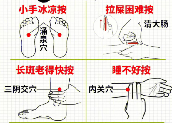 女性如何養(yǎng)生調理 ？南寧中醫(yī)美容培訓分享