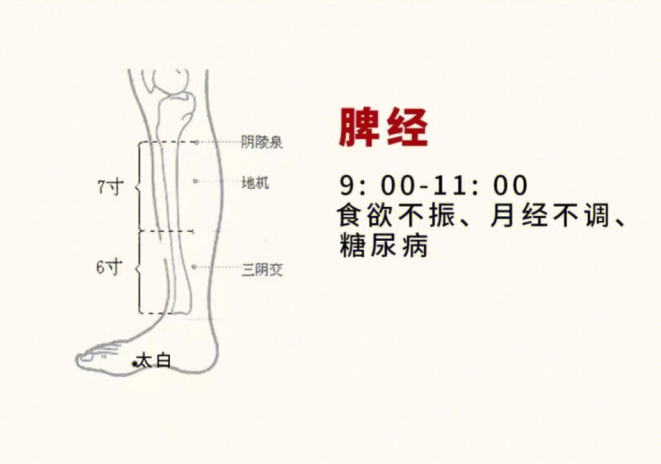 日常容易堵塞的身體部位，廣西美容基礎(chǔ)教學(xué)