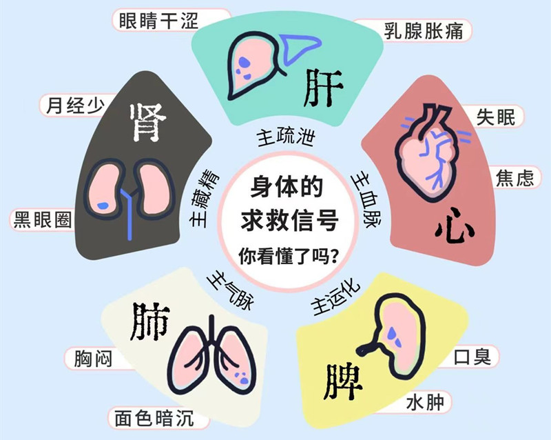 南寧專業(yè)美容管理學(xué)校：五臟六腑如何管理？