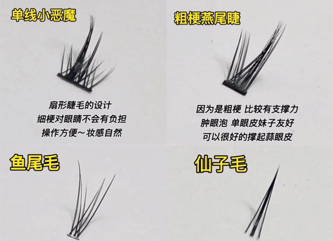 假睫毛科普知識，廣西化妝基礎(chǔ)