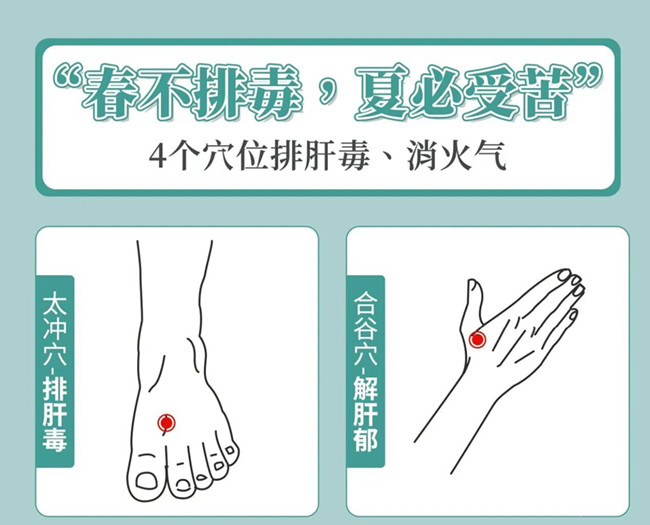 南寧美容健康管理：春季如何養(yǎng)生？