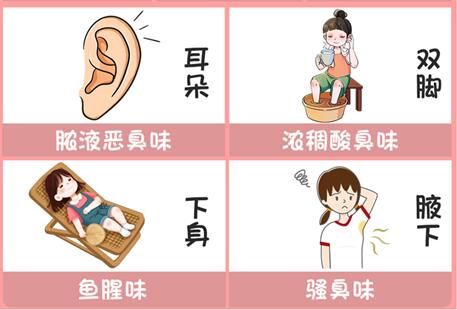 體味重的部位和緩解方法，廣西美容美體專業(yè)介紹