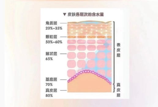 皮膚越補水越干？廣西美容護膚中心分析原因